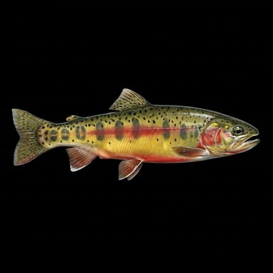 Golden Trout